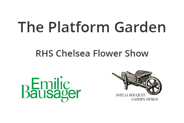 Web Featured Image for Project Page